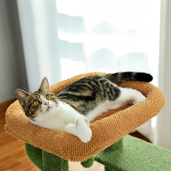 仙人掌系列猫台带有1个舒适的猫窝和顶部躺窝，以及剑麻猫抓柱，吊球和梯子，适合中小型猫-5