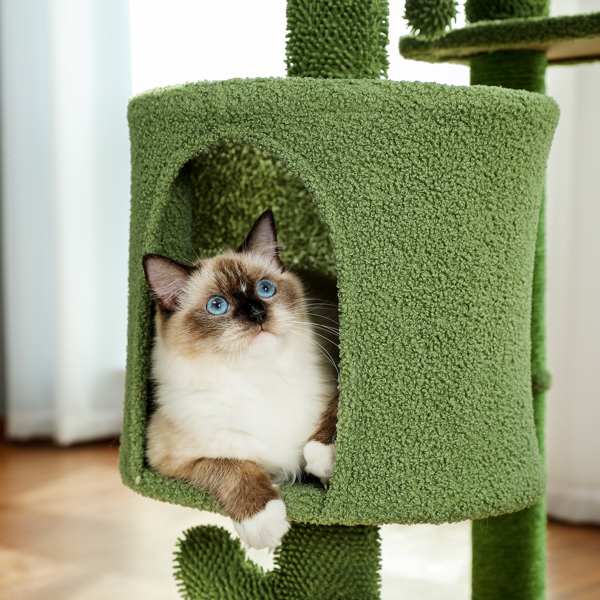 仙人掌系列猫台带有1个舒适的猫窝和顶部躺窝，以及剑麻猫抓柱，吊球和梯子，适合中小型猫-7
