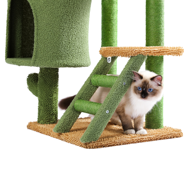 仙人掌系列猫台带有1个舒适的猫窝和顶部躺窝，以及剑麻猫抓柱，吊球和梯子，适合中小型猫-9