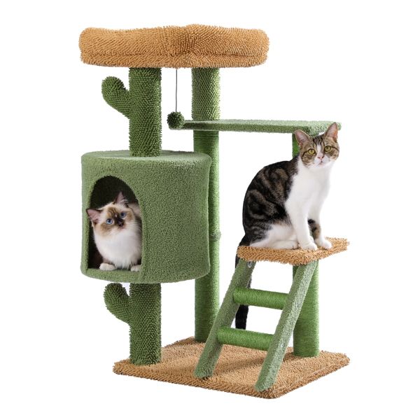 仙人掌系列猫台带有1个舒适的猫窝和顶部躺窝，以及剑麻猫抓柱，吊球和梯子，适合中小型猫-2