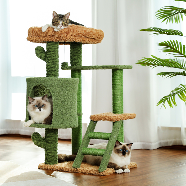 仙人掌系列猫台带有1个舒适的猫窝和顶部躺窝，以及剑麻猫抓柱，吊球和梯子，适合中小型猫-1