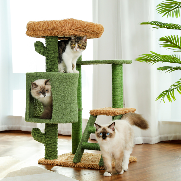 仙人掌系列猫台带有1个舒适的猫窝和顶部躺窝，以及剑麻猫抓柱，吊球和梯子，适合中小型猫-10