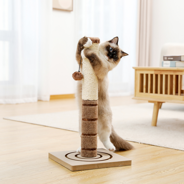 粽色小型猫抓柱带有2种猫娱乐玩具，悬挂毛绒球以及底部可循环追逐的小弹珠，适合小猫-1
