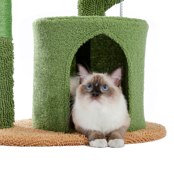 仙人掌系列猫台带有1个舒适的猫窝，宽敞的顶部躺窝，吊床，剑麻猫抓柱和吊球，适合中小型猫锻炼休息（周末无法发货，请谨慎下单）-7