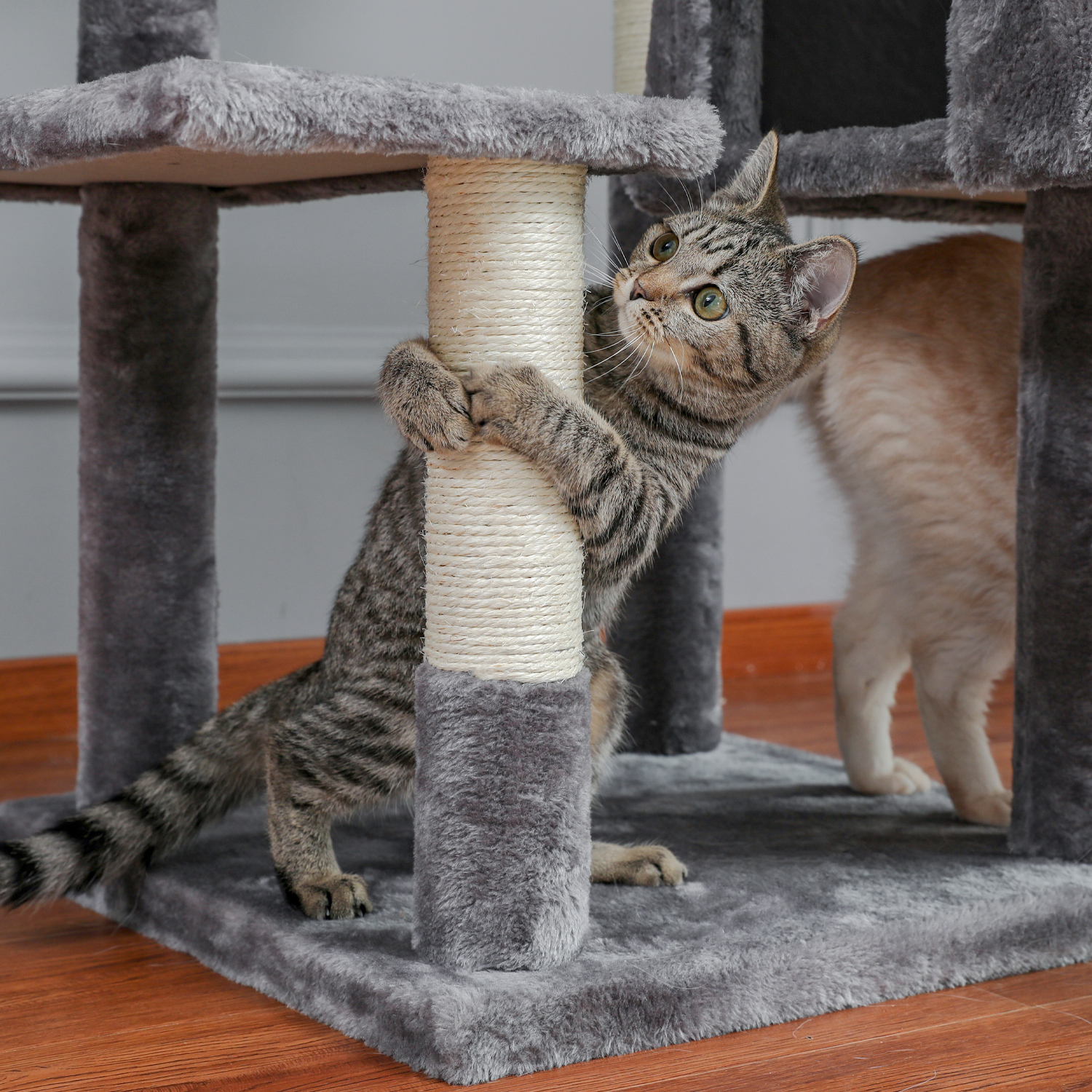  Discover the Ultimate 2 Tier Cat Tower for Your Feline's Comfort and Playtime