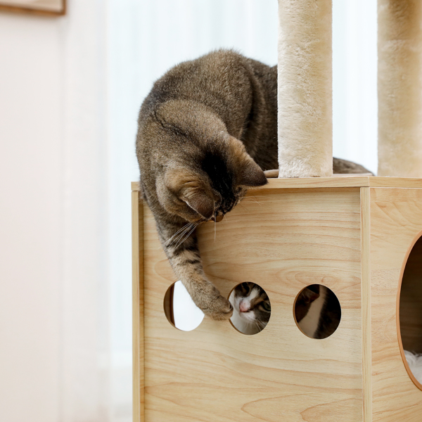 豪华独特的猫台带有3个舒适的猫窝和1个顶部躺窝，1个宽敞的吊床，剑麻猫抓柱和互动玩具吊球-8