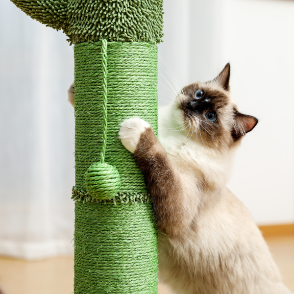 绿色仙人掌猫抓柱子带有3个猫抓柱，1个吊球，猫互动玩具适合小型猫-10