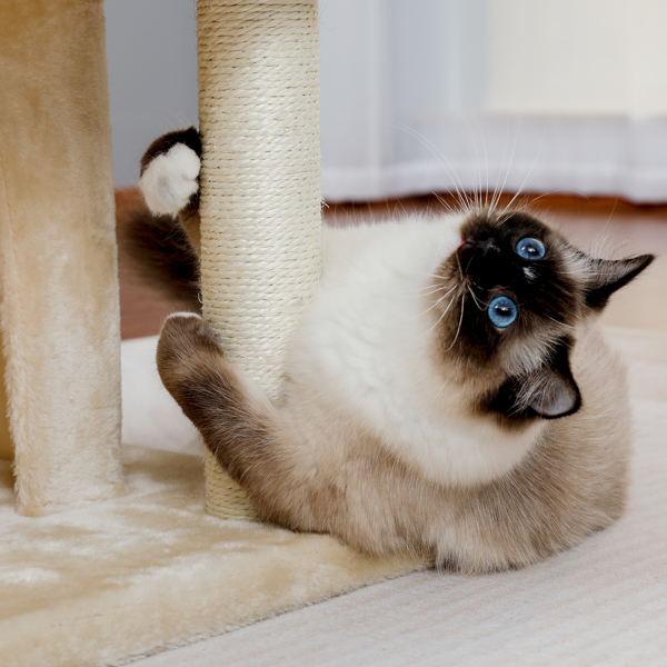 米色多层豪华猫台带有2个舒适猫窝，1个宽敞的顶部躺窝，猫抓柱，坡道和猫互动玩具晃球-9