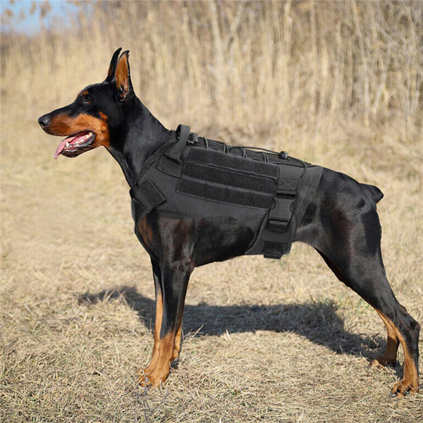 犬背带大型军犬工作犬背心+牵引绳   XL 黑色-7