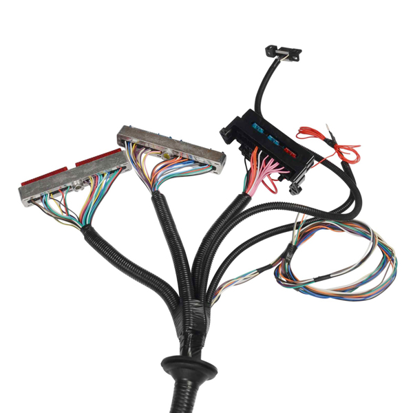 线束 1997-2006 LS1 Stand Alone Harness 4L60E 4.8 5.3 6.0 Vortec For Drive by Cable-3