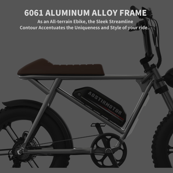  AOSTIRMOTOR新款电动自行车STORM,20in胖轮胎750W电机48V13Ah锂电池零售-17