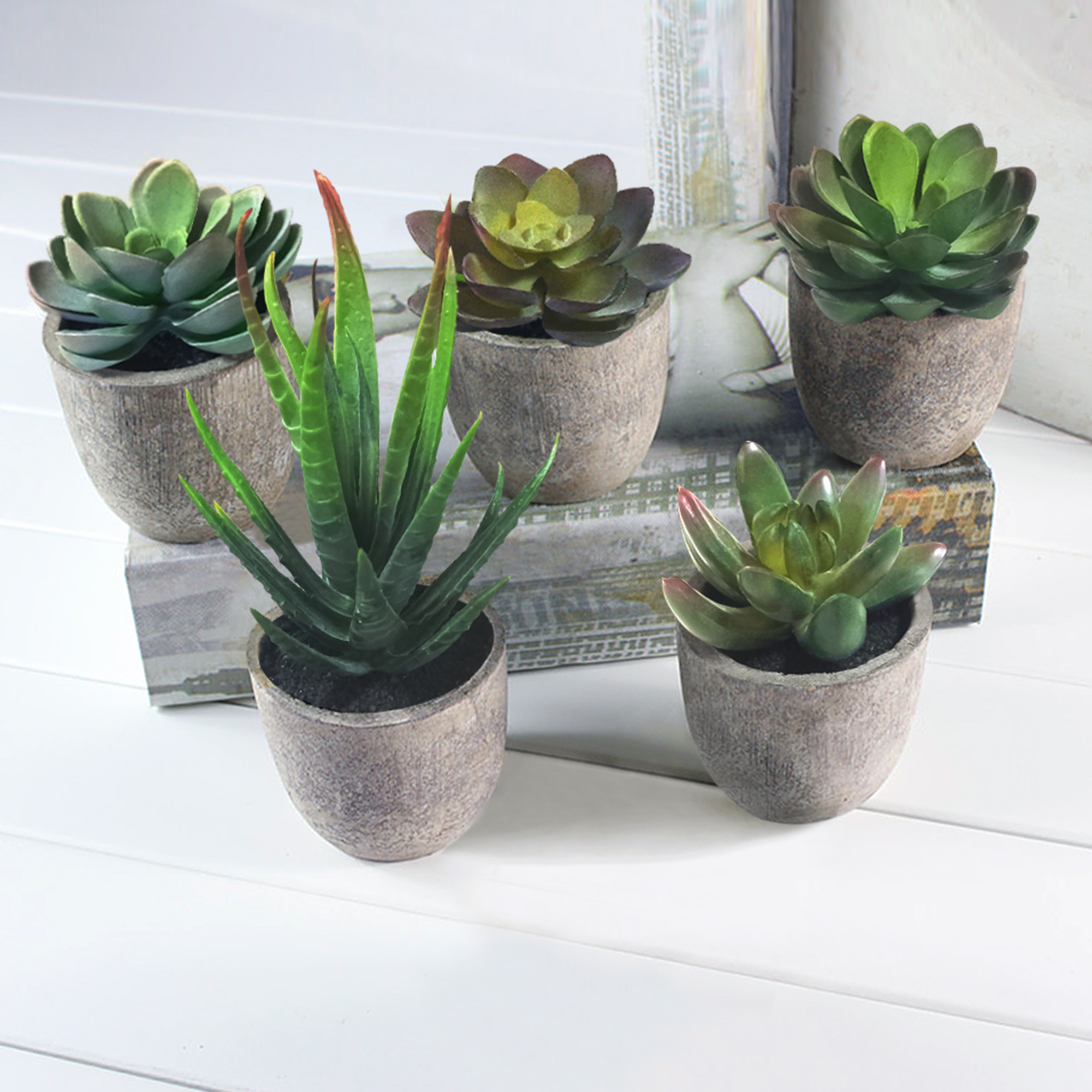 5Pcs Artificial Succulent Cactus Plants,Faux Succulent Cactus Plants with Gray Pots for Home Decor