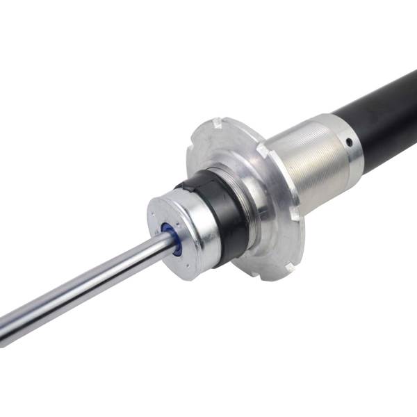 减震器 Electronic Shock Absorber Rear For 09-14 Ferrari California Base Convertible 4.3L V8 247210 247209-6