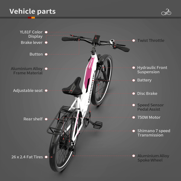 AOSTIRMOTOR新款26”750W电动自行车肥胎52V15AH成人可拆卸锂电池-23