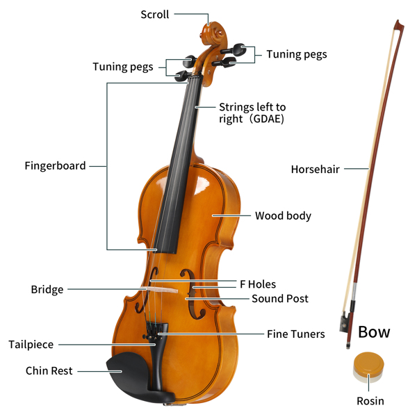  【AM不售卖】4/4 椴木 自然色 小提琴-8