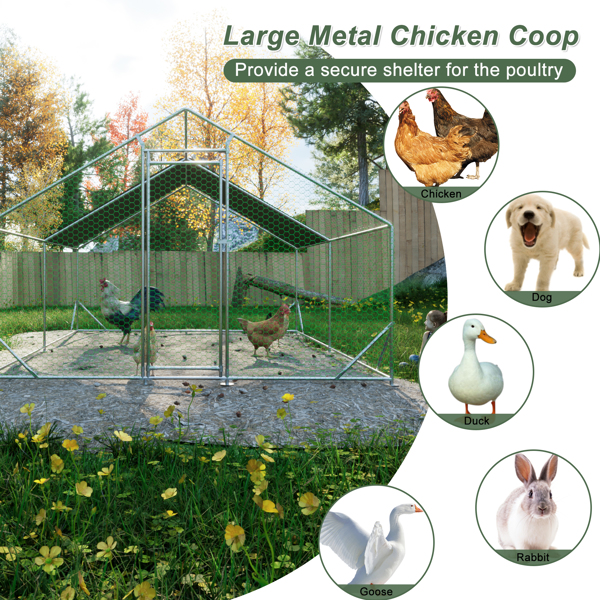 10 x 13英尺户外大型金属鸡笼，带1个防水布，花园后院母鸡笼，供农场使用的家禽宠物小屋-8