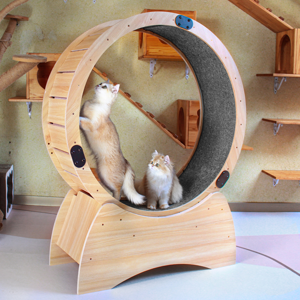 Cat Exercise Wheel – Running, Spinning, and Scratching Fun, Cat Treadmill with Carpeted Runway, Kitty Cat Sport Toy, Great for Physical Activity and Reducing Boredom-1
