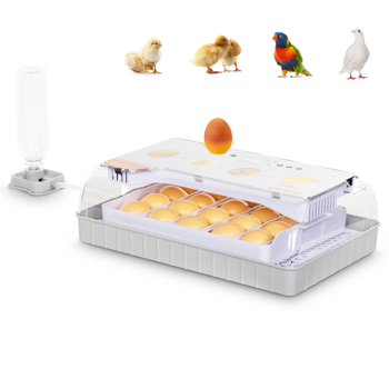  EW9-20 美规 孵化器 110V 110V,50W 20个鸡蛋/ 12个鸭蛋/ 6个鹅蛋/ 40个鸽子蛋/ 40个鹌鹑蛋 ABS 白色透明 温度湿度显示 自动温度控制自动补水自动翻蛋 高低温报警 LED照蛋 可注水