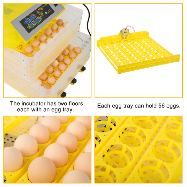 112枚家禽全自动孵化器孵蛋机 照蛋器 注水器　单电源（美规）-16