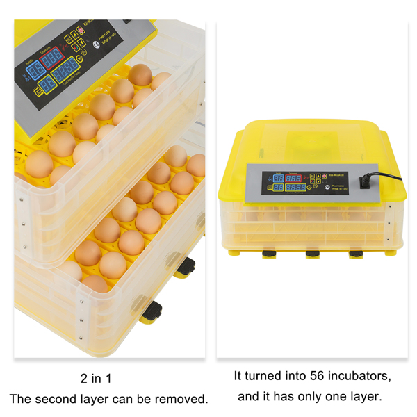 112枚家禽全自动孵化器孵蛋机 照蛋器 注水器　单电源（美规）-25