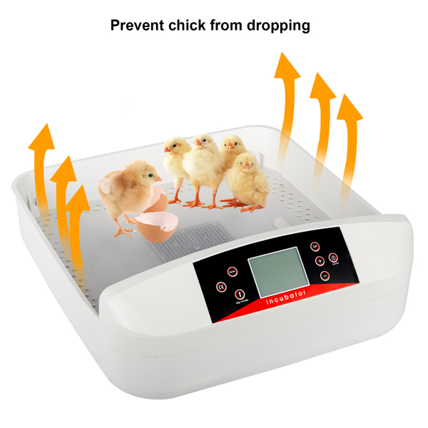 56枚家禽全自动ＬＥＤ孵化器孵蛋机自带照蛋器功能 注水器　（美规）-21