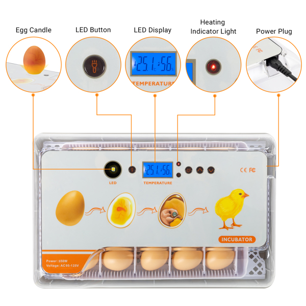  【不包含水瓶】EW9-20 美规 孵化器 110V 110V,40W 20个鸡蛋/ 12个鸭蛋/ 6个鹅蛋/ 40个鸽子蛋/ 40个鹌鹑蛋 ABS 白色透明 温度湿度显示 自动温度控制自动补水自动翻蛋 高低温报警 LED照蛋 可注水-19