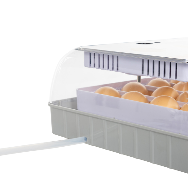  【不包含水瓶】EW9-20 美规 孵化器 110V 110V,40W 20个鸡蛋/ 12个鸭蛋/ 6个鹅蛋/ 40个鸽子蛋/ 40个鹌鹑蛋 ABS 白色透明 温度湿度显示 自动温度控制自动补水自动翻蛋 高低温报警 LED照蛋 可注水-16