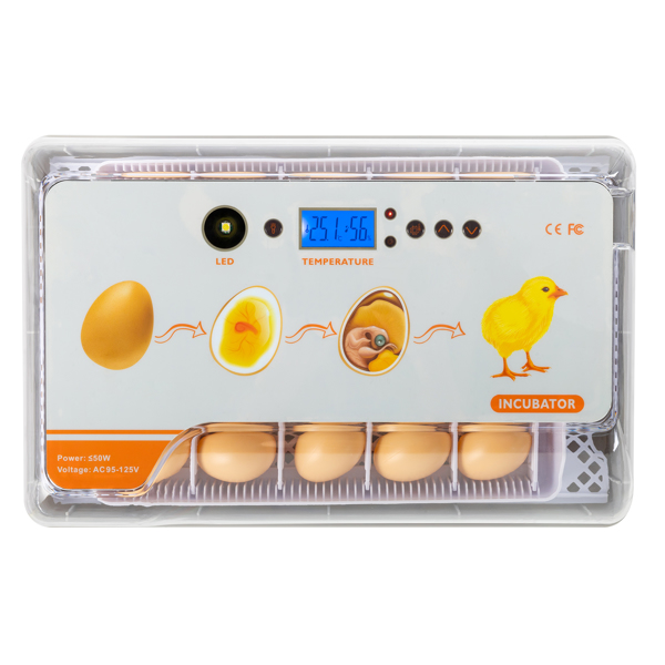  【不包含水瓶】EW9-20 美规 孵化器 110V 110V,40W 20个鸡蛋/ 12个鸭蛋/ 6个鹅蛋/ 40个鸽子蛋/ 40个鹌鹑蛋 ABS 白色透明 温度湿度显示 自动温度控制自动补水自动翻蛋 高低温报警 LED照蛋 可注水-12