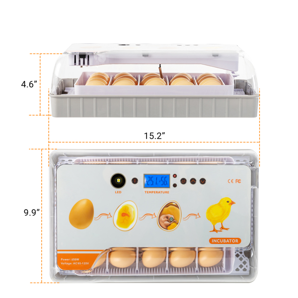  【不包含水瓶】EW9-20 美规 孵化器 110V 110V,40W 20个鸡蛋/ 12个鸭蛋/ 6个鹅蛋/ 40个鸽子蛋/ 40个鹌鹑蛋 ABS 白色透明 温度湿度显示 自动温度控制自动补水自动翻蛋 高低温报警 LED照蛋 可注水-17