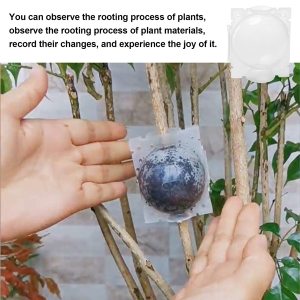 植物繁殖盒扦插嫁接生根盒生根繁殖器繁殖球 小号/ 透明 1个 (周末不发货)-10