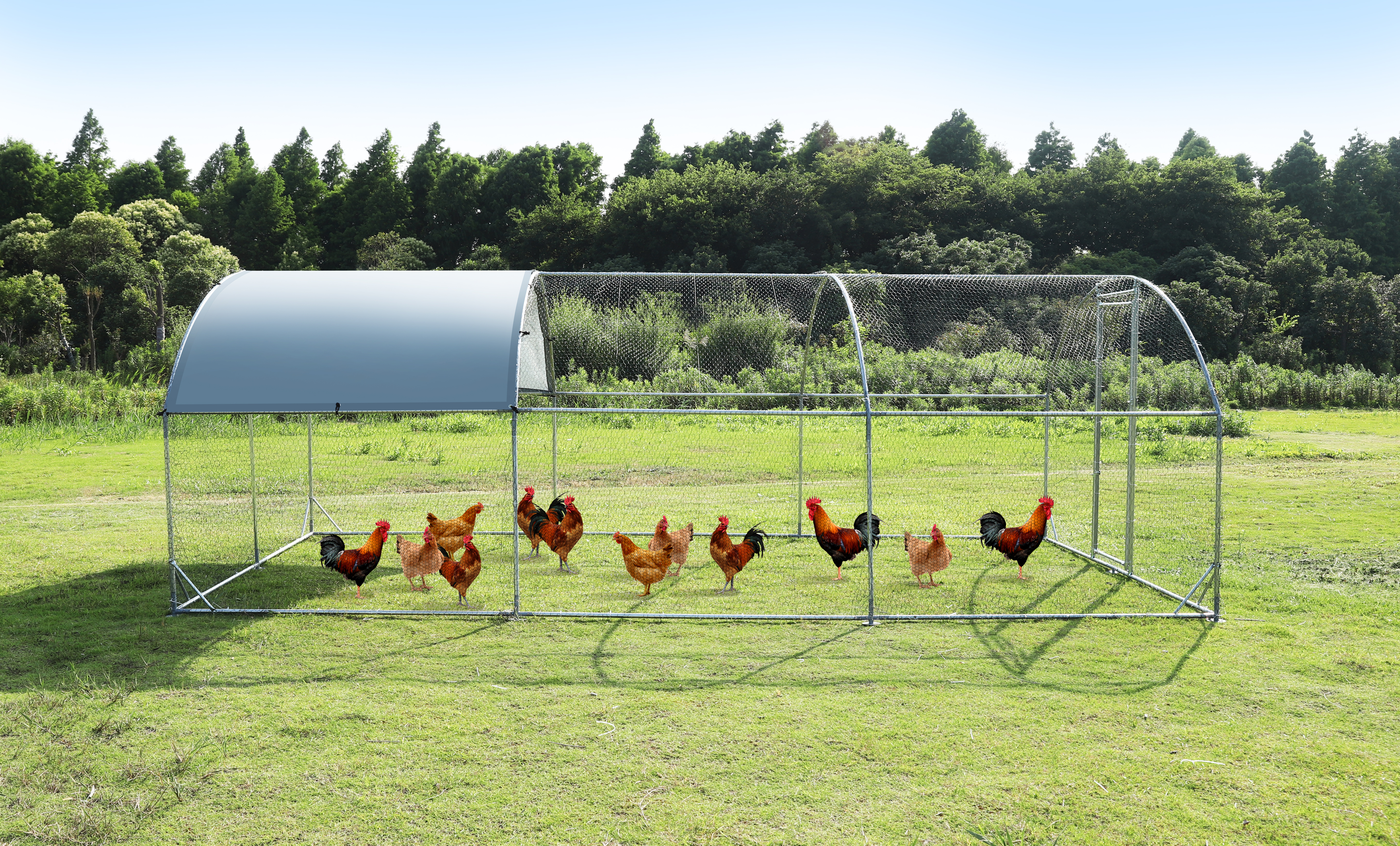 Large Outdoor Chicken Coop with Steel Wire Netting Waterproof UV for