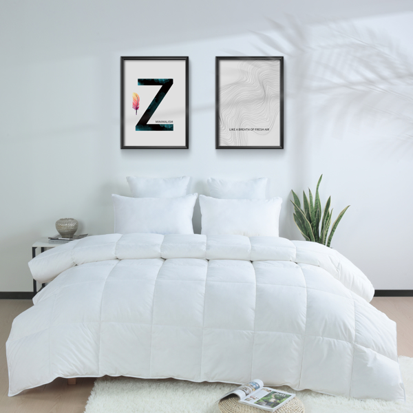 Feather Down Comforter with 100% Cotton Shell for Bedroom All Season-2