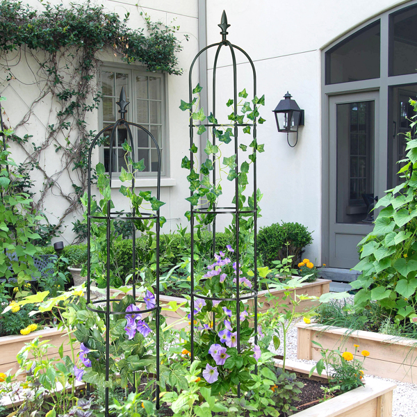6.2英尺花园方尖碑格子架，轻型防锈塑料涂层金属高塔格子架，用于攀援玫瑰花或藤蔓植物，黑色-6