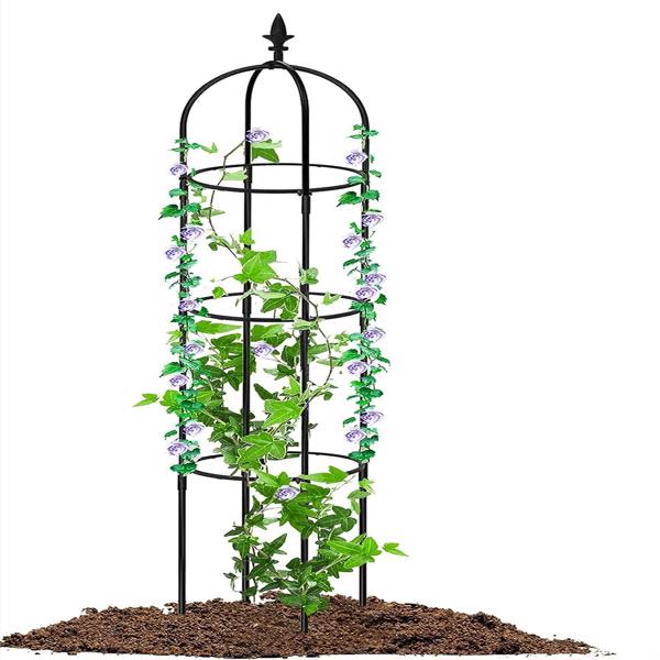 6.2英尺花园方尖碑格子架，轻型防锈塑料涂层金属高塔格子架，用于攀援玫瑰花或藤蔓植物，黑色-2