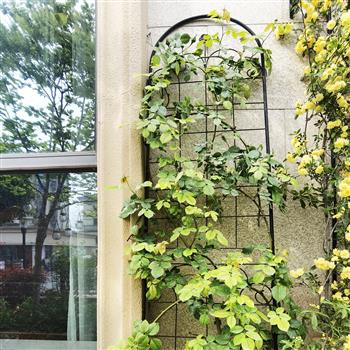 4 件装金属花园棚架，适用于户外攀缘植物，86.7 英寸 x 19.7 英寸，防锈植物支撑玫瑰棚架网架，黑色