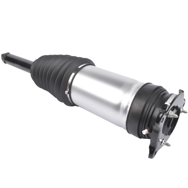 减震器 Rear Left or Right Air Suspension Shock Strut For Tesla Model S (5YJS) 2016-2021 RWD AWD 106746125C 106746625C 106646100D-6