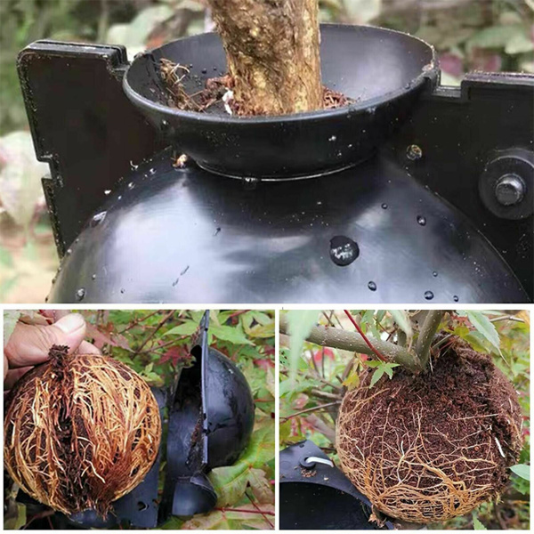 植物繁殖盒扦插嫁接生根盒生根繁殖器繁殖球 小号/ 黑色 1个 (周末不发货)-17