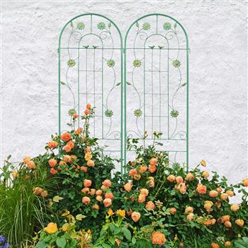 2 件装金属花园棚架 86.7 英寸 x 19.7 英寸 防锈棚架 适用于攀缘植物 户外花卉支架 绿色