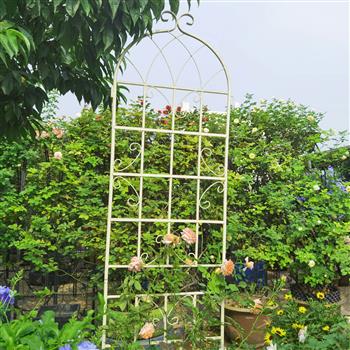 2 件装金属花园棚架 86.7 英寸 x 19.7 英寸 防锈棚架 适用于攀缘植物 户外花卉支架 乳白色