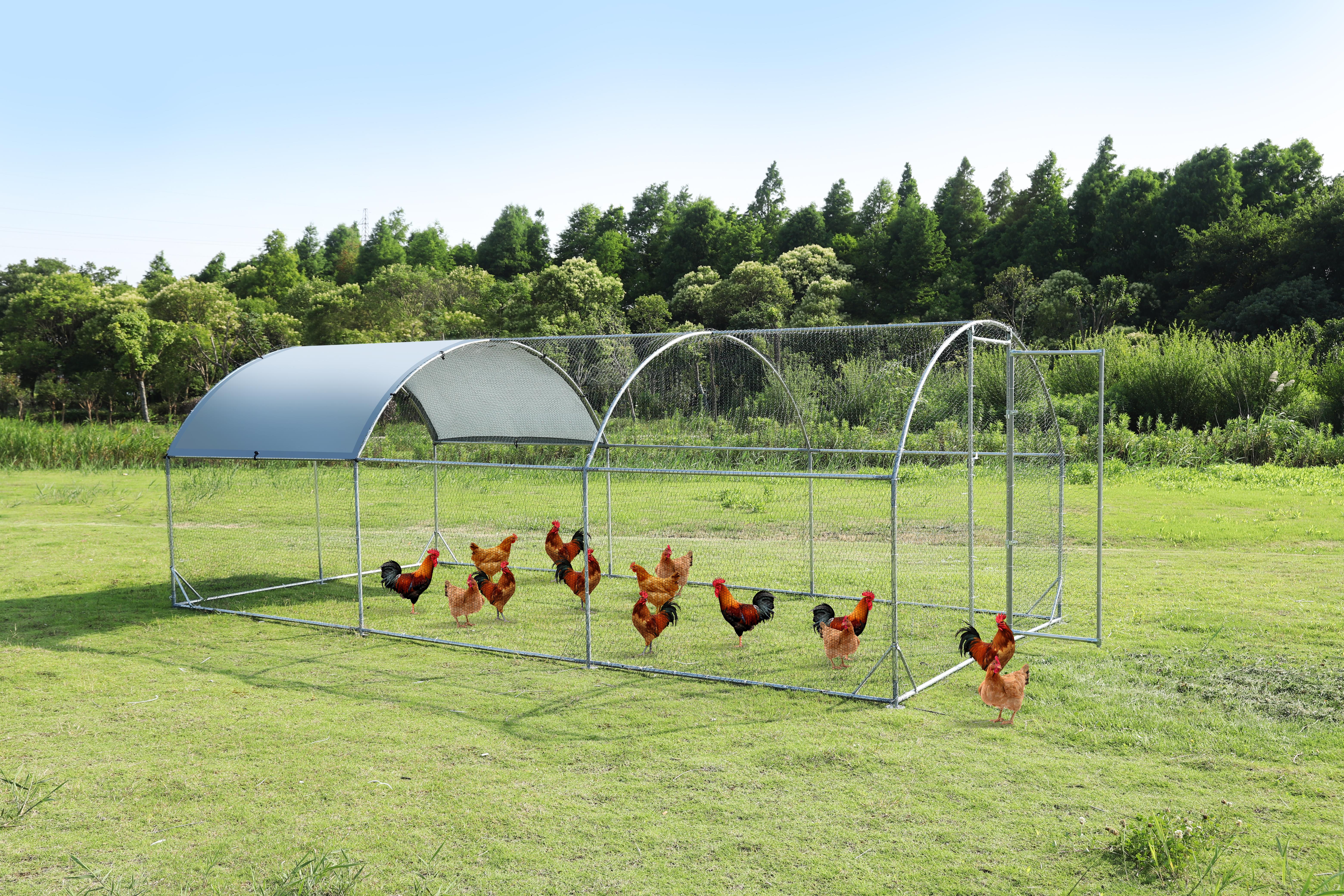 Large Outdoor Chicken Coop with Steel Wire Netting Waterproof UV for