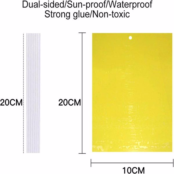 20个装20*10cm（配扎丝）双面粘虫板诱虫板黄板大棚茶园果园温室园艺黏虫防虫-7