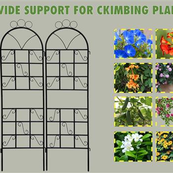 1 套（2 件）金属花园棚架，适用于攀爬植物，户外防锈植物支架-黑色