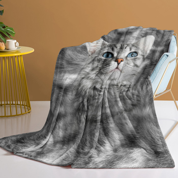 自产法莱绒毛毯   毛海灰猫  130X150cm
