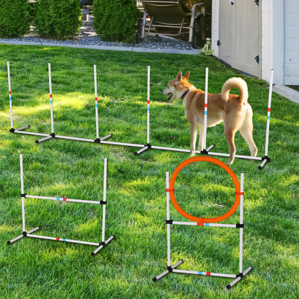 3-Piece Dog Agility Equipment Set, Dog Obstacle Course - 19