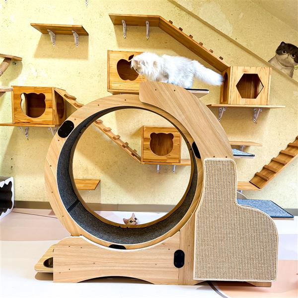 5 合 1 猫咪运动跑轮，猫咪轮木质攀爬架，猫砂健身轮，超大滚轮猫咪室内活动中心，大号（右）-9