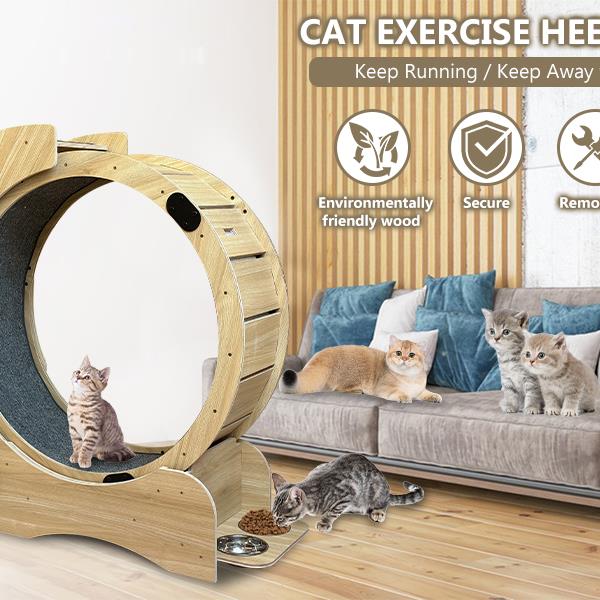 5 合 1 猫咪运动跑轮，猫咪轮木质攀爬架，猫砂健身轮，超大滚轮猫咪室内活动中心，大号（右）-2