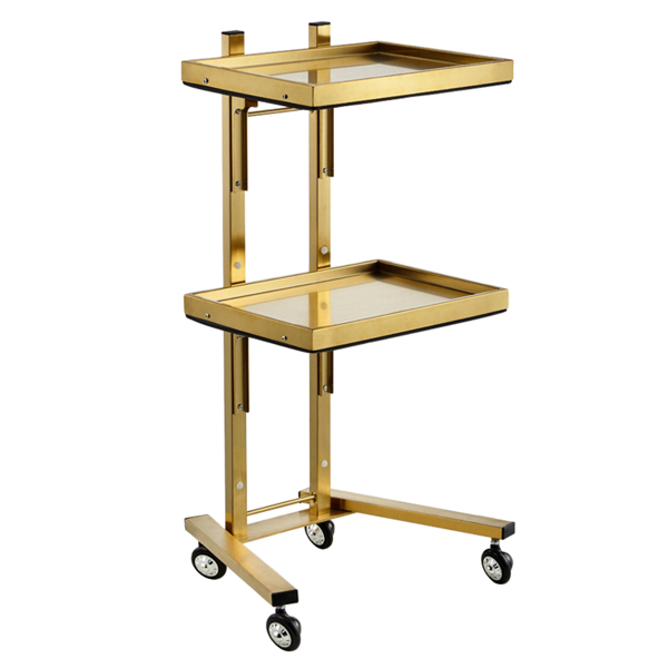 A3- 美容美发推车-金色 Gold 2 Tier Beauty Salon SPA Rolling Cart w/Double Storage Tray Stainless Steel-1