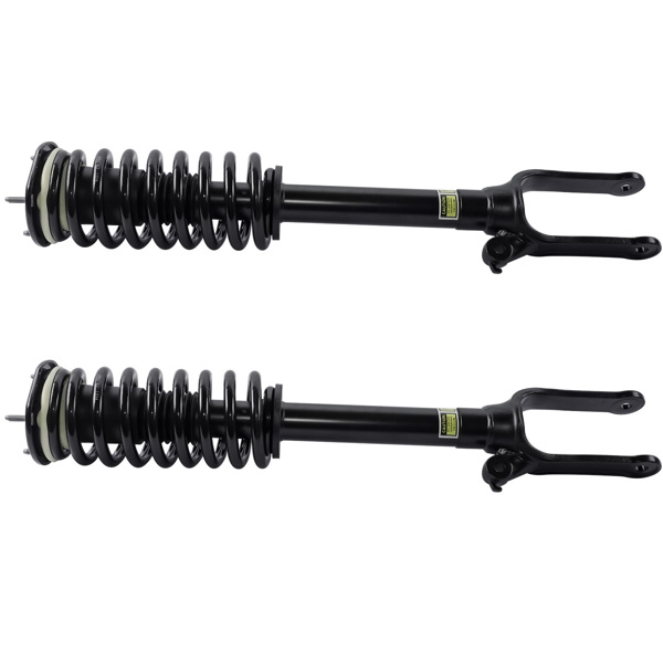 减震器 Set of 2 Front Shock Strut & Coil Spring Assys For Mercedes R320 R350 R500 2006-2013 2513200730-2