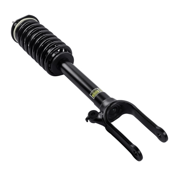 减震器 Front Strut with Coil Spring Assembly For Mercedes-Benz R320 R350 R500 R63 AMG 2006-2013 2513200330-1