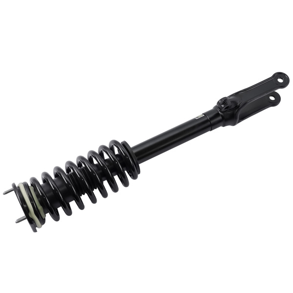 减震器 Front Strut with Coil Spring Assembly For Mercedes-Benz R320 R350 R500 R63 AMG 2006-2013 2513200330-7